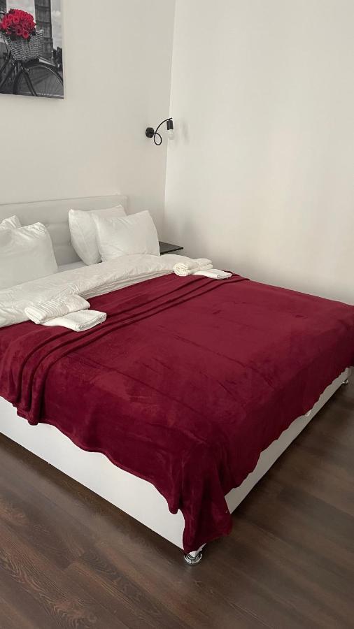 Rv Old City Apartment Velyka Vasylkivska 28,Self Check-In 24Х7 Kiev Dış mekan fotoğraf
